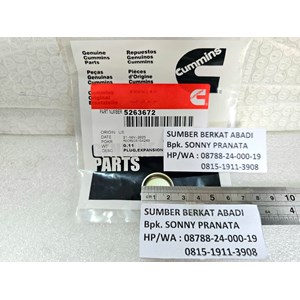 cummins 5263672 expansion core plug