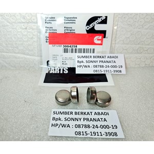 cummins 3004258 expansion plug marine-2