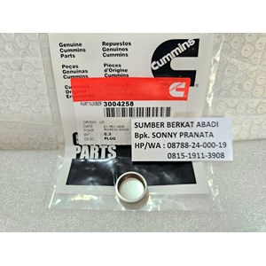 cummins 3004258 expansion plug marine-3