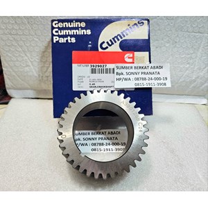 cummins 3929027 3929026 3919681 gear 3919680 3912883 - 36 teeth-5