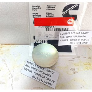 cummins 3900687 expansion plug - 6bt-1