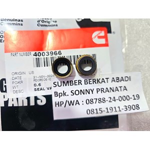 cummins 4003966 3606766 seal valve steam m11 ism qsm-5