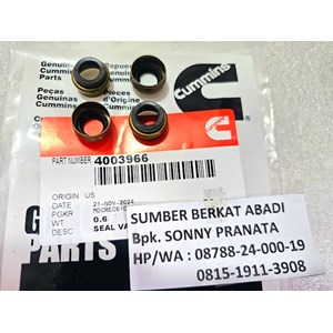 cummins 4003966 3606766 seal valve steam m11 ism qsm-1
