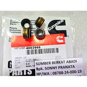 cummins 4003966 3606766 seal valve steam m11 ism qsm-4