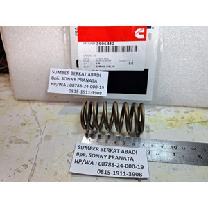 cummins 3906412 intake valve spring 3991085-3