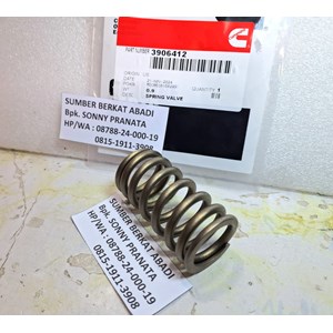 cummins 3906412 intake valve spring 3991085-2
