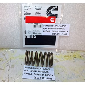 cummins 3906412 intake valve spring 3991085-5