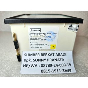 cromptom e244-41s-g-pl-aj-aj hertz meter e24441sgplajaj - 96mm x 96mm-3