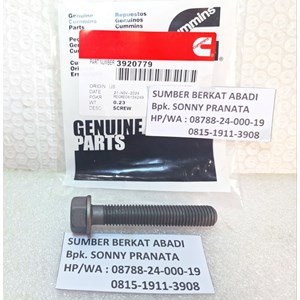 cummins 3920779 3903938 cylinder head bolt screw 3918471 3900046-5