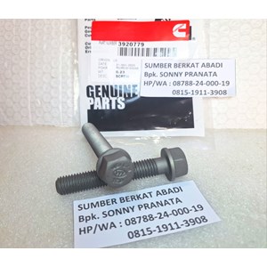 cummins 3920779 3903938 cylinder head bolt screw 3918471 3900046-1