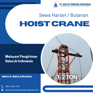 sewa hoist crane sleman | mesin hoist | 085191600114