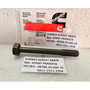 cummins 3904217 hexagon head cap screw 3900948 ym 12.9 ym12.9 ym-12.9-4