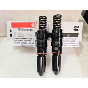 cummins 3022197 fuel injector assembly 3007502 3005964 205463 - kta19-6