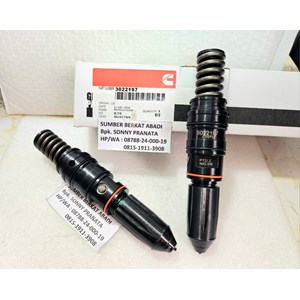 cummins 3022197 fuel injector assembly 3007502 3005964 205463 - kta19-5