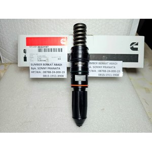 cummins 3022197 fuel injector assembly 3007502 3005964 205463 - kta19