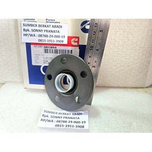 cummins 3803894 3895020 3161772 3896891 3896836 3803487 3161742-1