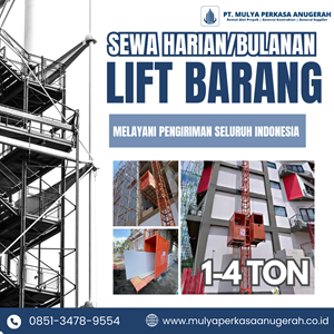 sewa lift barang lamongan | hoist 1-4 ton | 085134789554