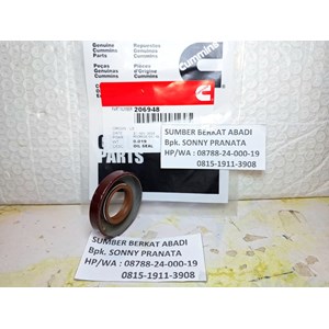 cummins 206948 seal o ring oil water pump - kta19 k19 k50 qsk19 qsk38-2