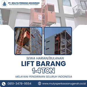 sewa lift barang gianyar | hoist 1-4 ton | 085134789554-7