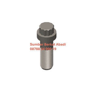 cummins 205375 twelve point cap screw - k19 k38 l10