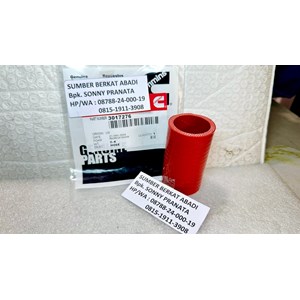 cummins 3017276 straight plain hose-1