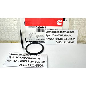 cummins 3080769 rectangular ring seal-3
