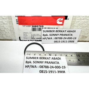 cummins 3080769 rectangular ring seal-4