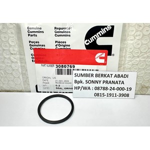 cummins 3080769 rectangular ring seal-5
