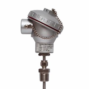 temperature measurement gauges