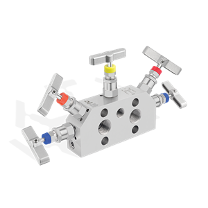 5 manifolds pipe fitting & valves-4