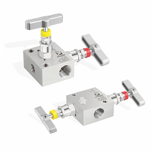 2 manifolds pipe fitting & valves-6