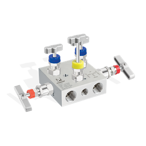 5 manifolds pipe fitting & valves-2
