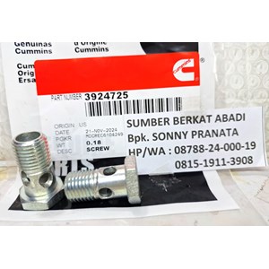 cummins 3924725 banjo connector screw 3907541 - isx qsx 6ct l10-5