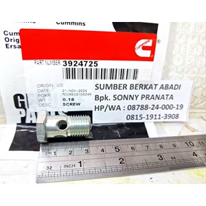 cummins 3924725 banjo connector screw 3907541 - isx qsx 6ct l10-3