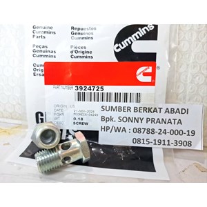 cummins 3924725 banjo connector screw 3907541 - isx qsx 6ct l10-6
