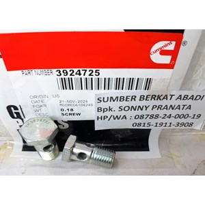 cummins 3924725 banjo connector screw 3907541 - isx qsx 6ct l10-7