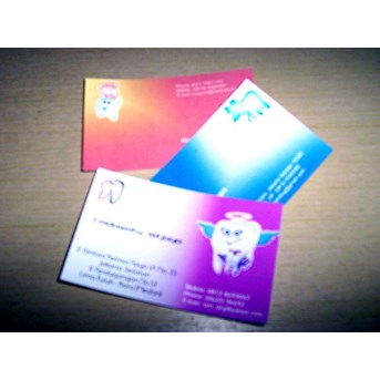 Kartu Nama Full Color, CALEG, CAPRES(PILPRES), DPD