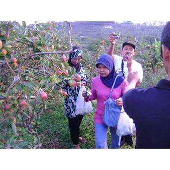 KRISNA AGROWISATA
