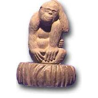 Orang Utan