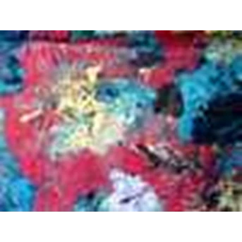 Silk Burn Out Print