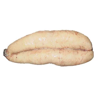 IKAN SETAN EGG / Escolar (Lepidocybium flavobrunneum) roe
