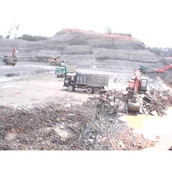STEAM COAL & IRON ORE