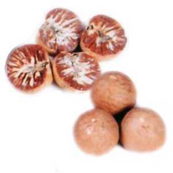 Betelnuts, Arecanuts, Supari or Pinang