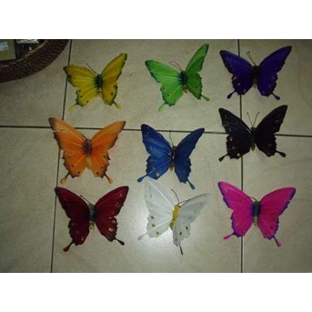 kupu2 bulu angsa