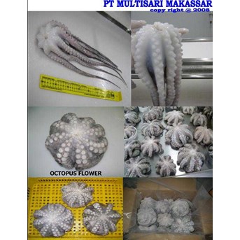 FROZEN OCTOPUS