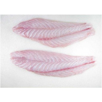 FROZEN GROUPER FILLET