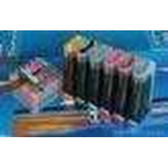 CISS Epson R1390, 80 ml (include Tinta)