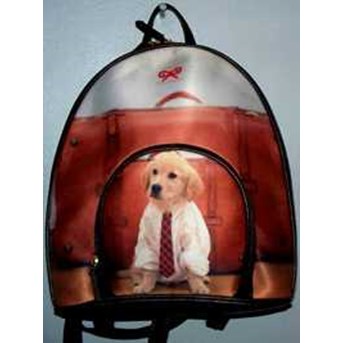 BackPack - SalesDog