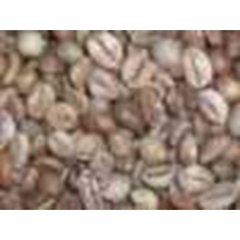 * * * * * SUPPLIER KOPI ARABIKA DAN KOPI ROBUSTA* * * * *