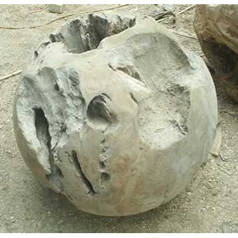 root teak ball